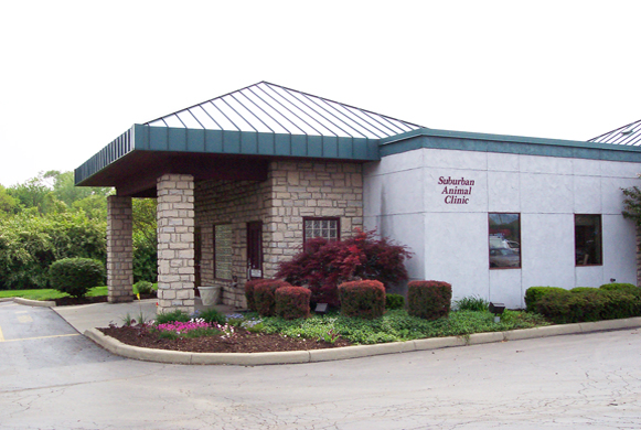 Suburban Animal Clinic Building